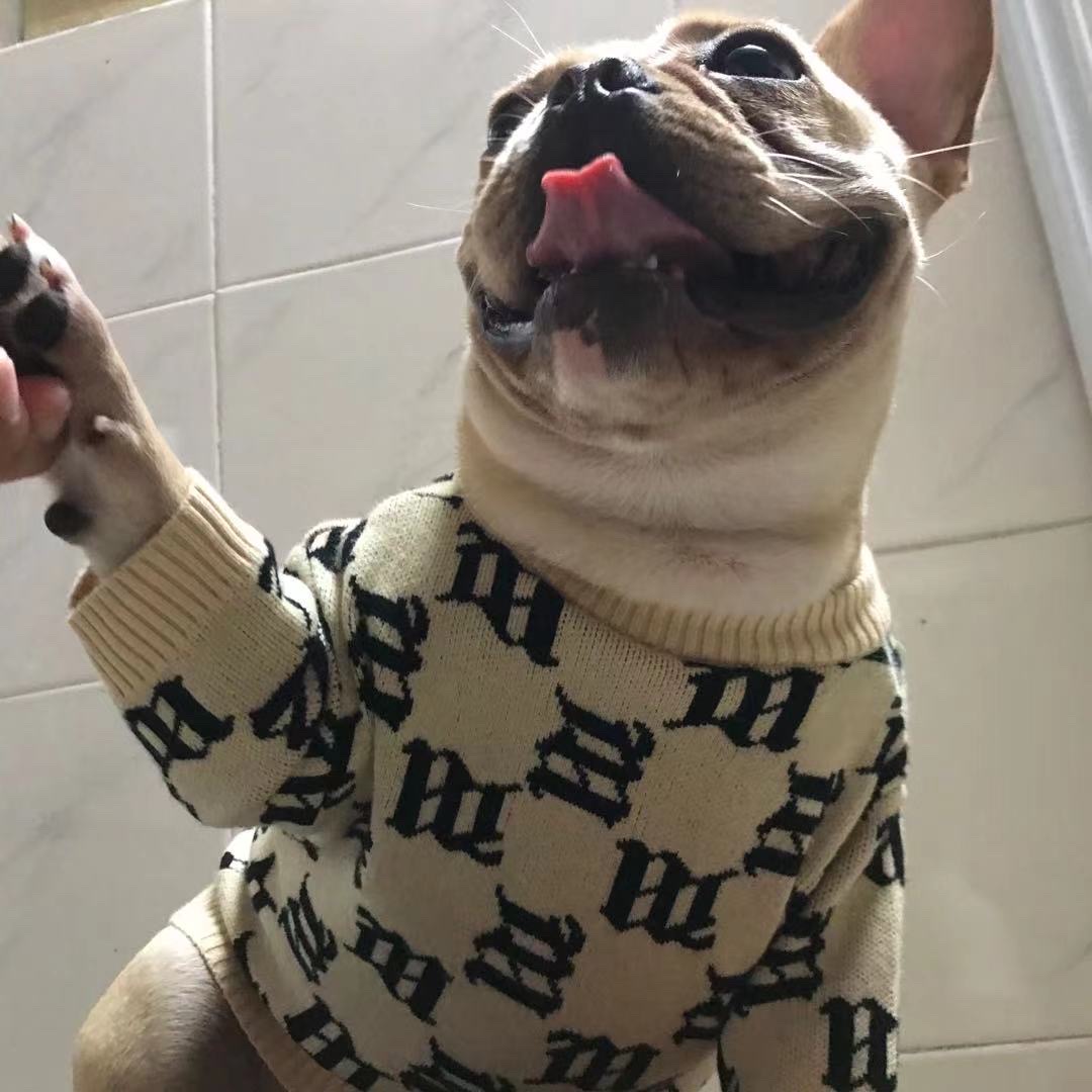 土豆猜球
