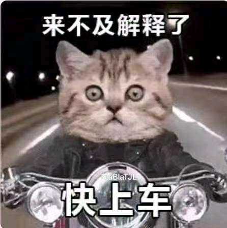 娇姐看球