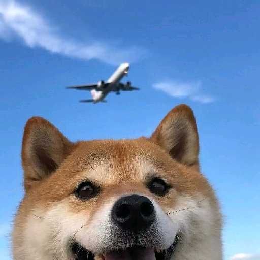 滴滴聊球