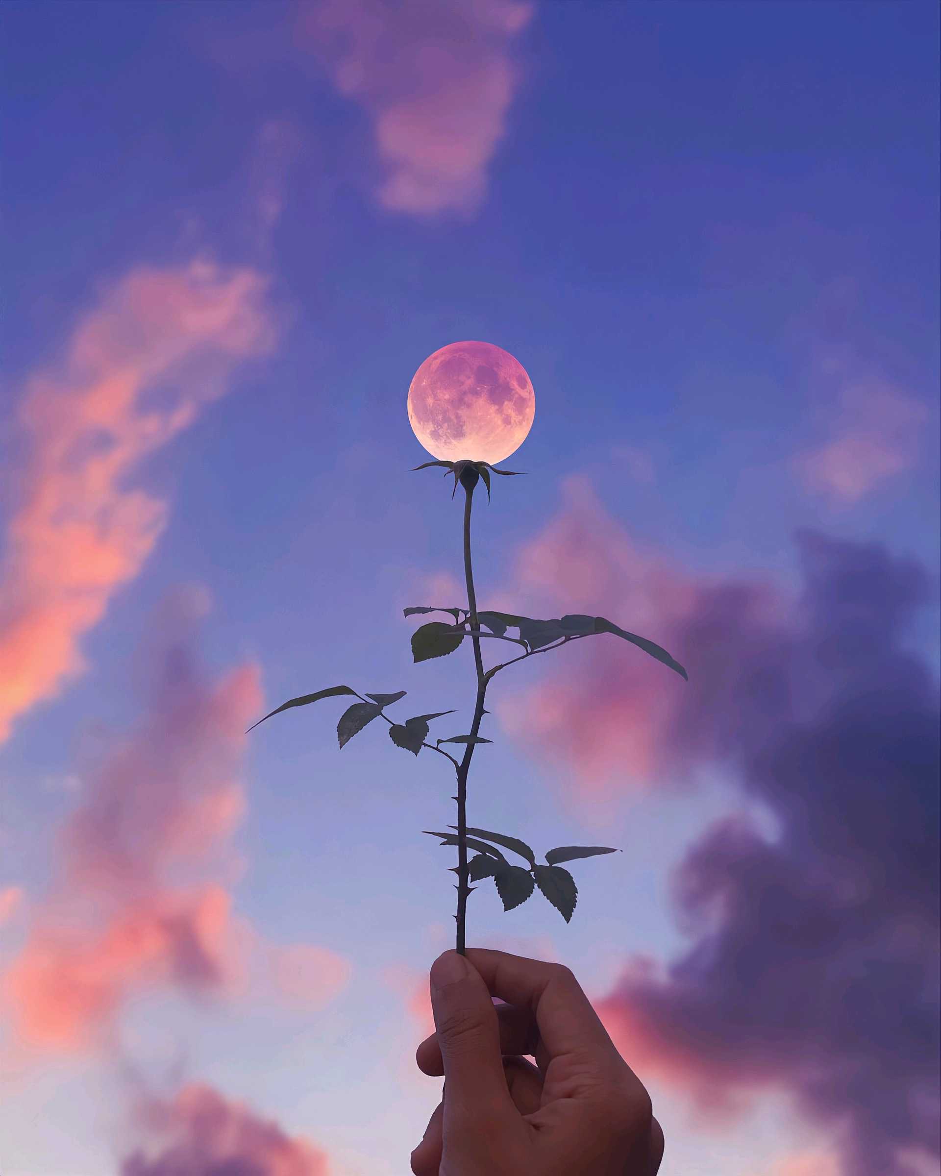 拂梦聊球