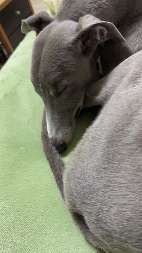 笑笑说球